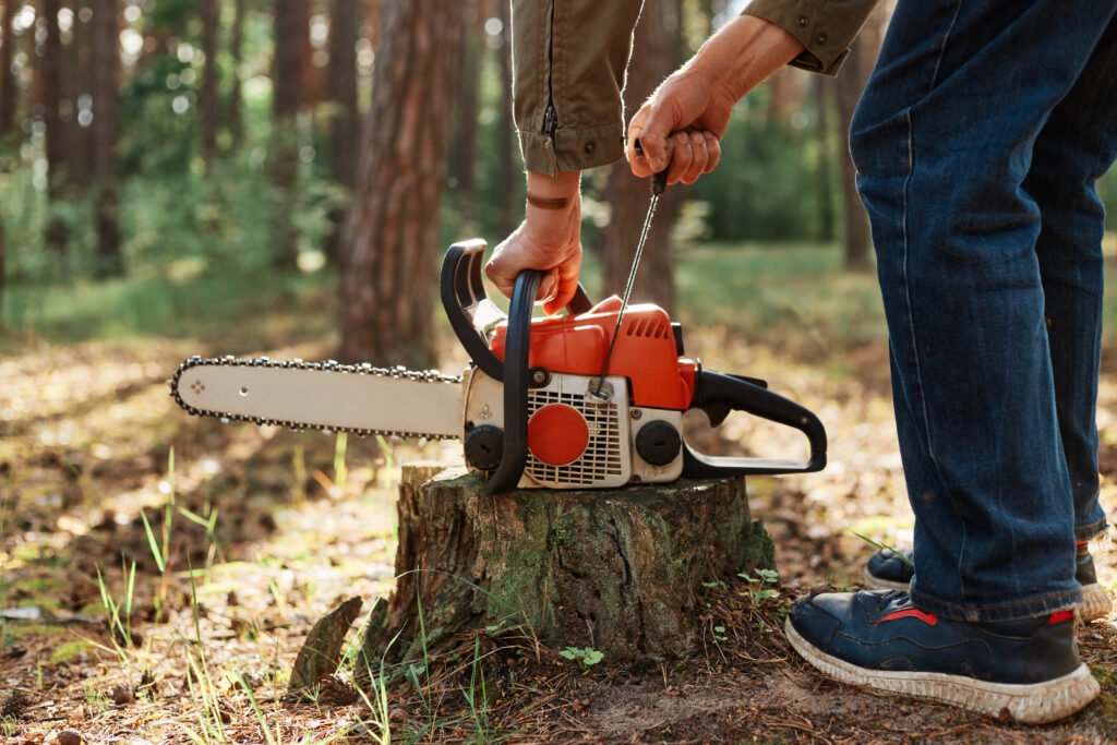 Tree Felling vs. Tree Removal: What’s the Difference