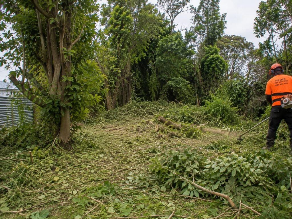 Overgrown section being cleared of scrub in Tauranga