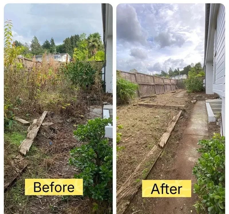 Bush and vegetation clearing work in progress in Tauranga