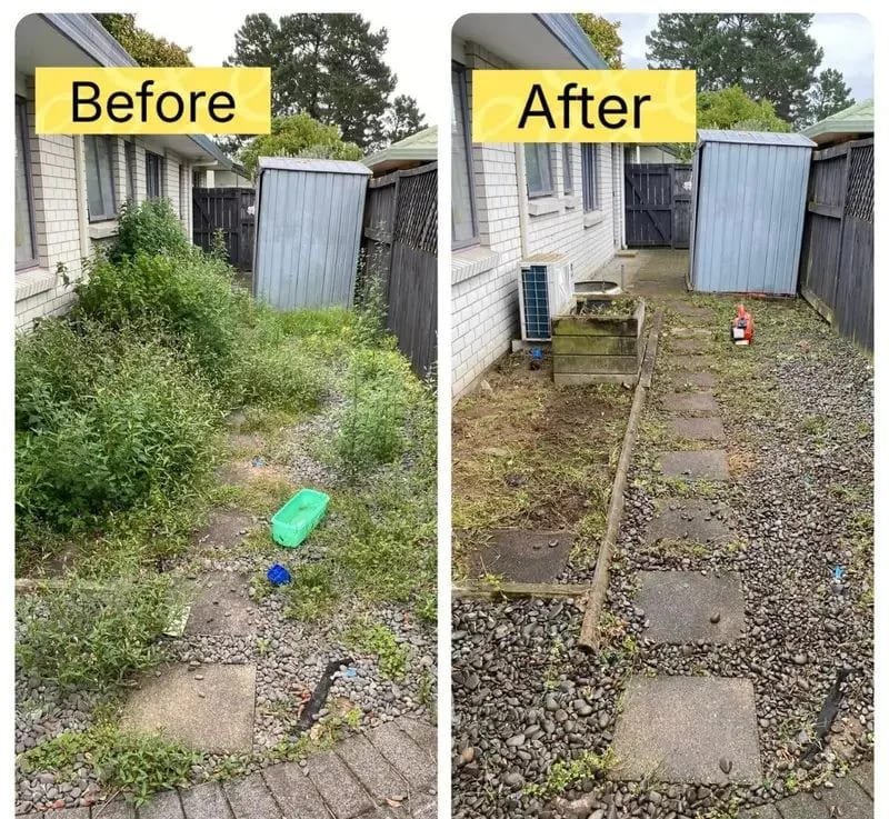 Section clearing carried out with machinery in Tauranga
