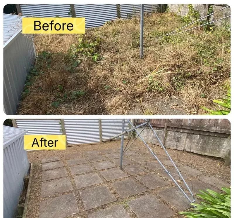 Cleared section ready for the next stage of work in Tauranga
