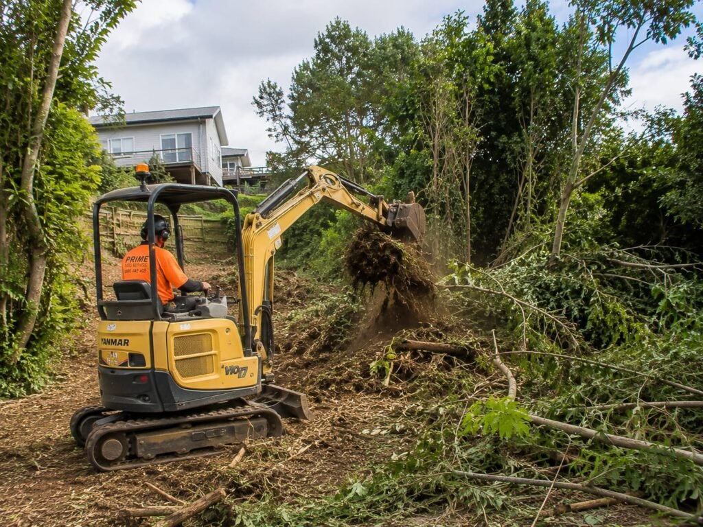 Mini excavator clearing overgrown scrub and vegetation from a sloping section in Tauranga